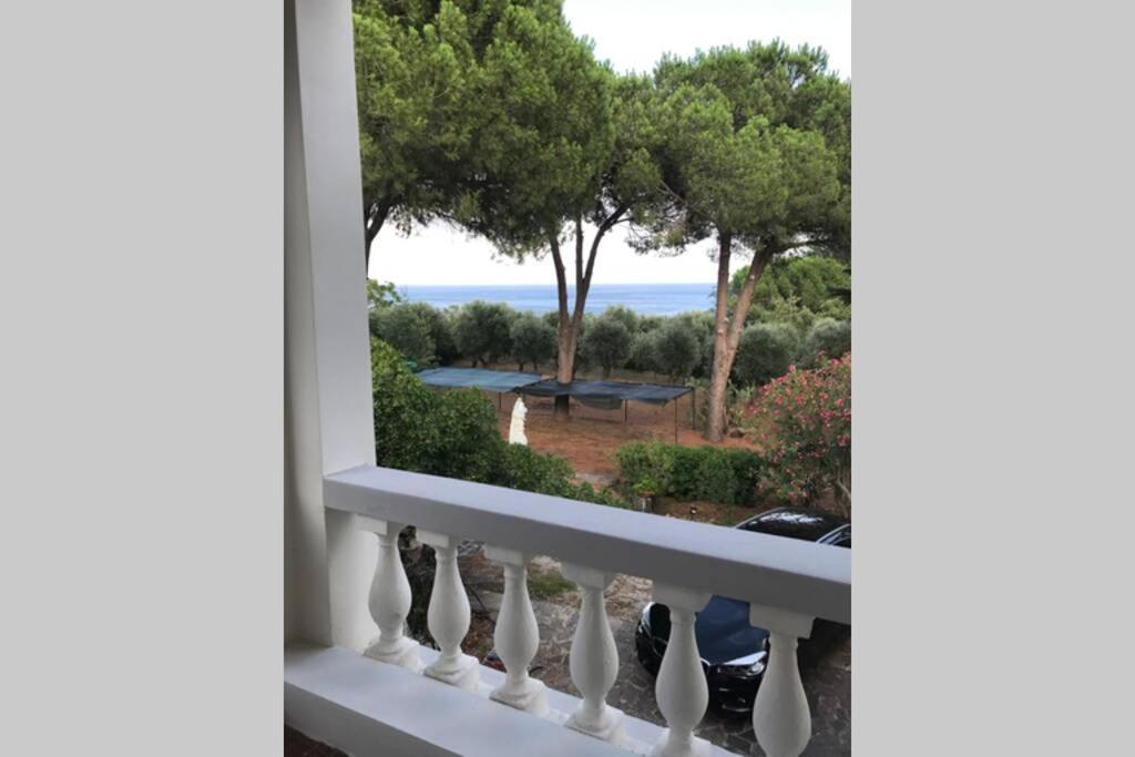 Isola D'Elba Casa Vacanze - Villa Portello - La Casina Bis - Quarzo-Pirite 里约滨海 外观 照片